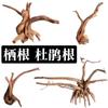 Acuario Pecera Agua Hierba Acuática Tanque Agua y Tierra Paisajismo Diseño Acuático Selva Tropical Tanque para Tortugas Raíz de Azalea Madera Hundida Musgo Árbol