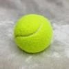 Tenis de Cuerda Profesional Tenis Individual con Alambre Tenis Elemental Productos Duraderos Rebote Transfronterizo Duradero Perro