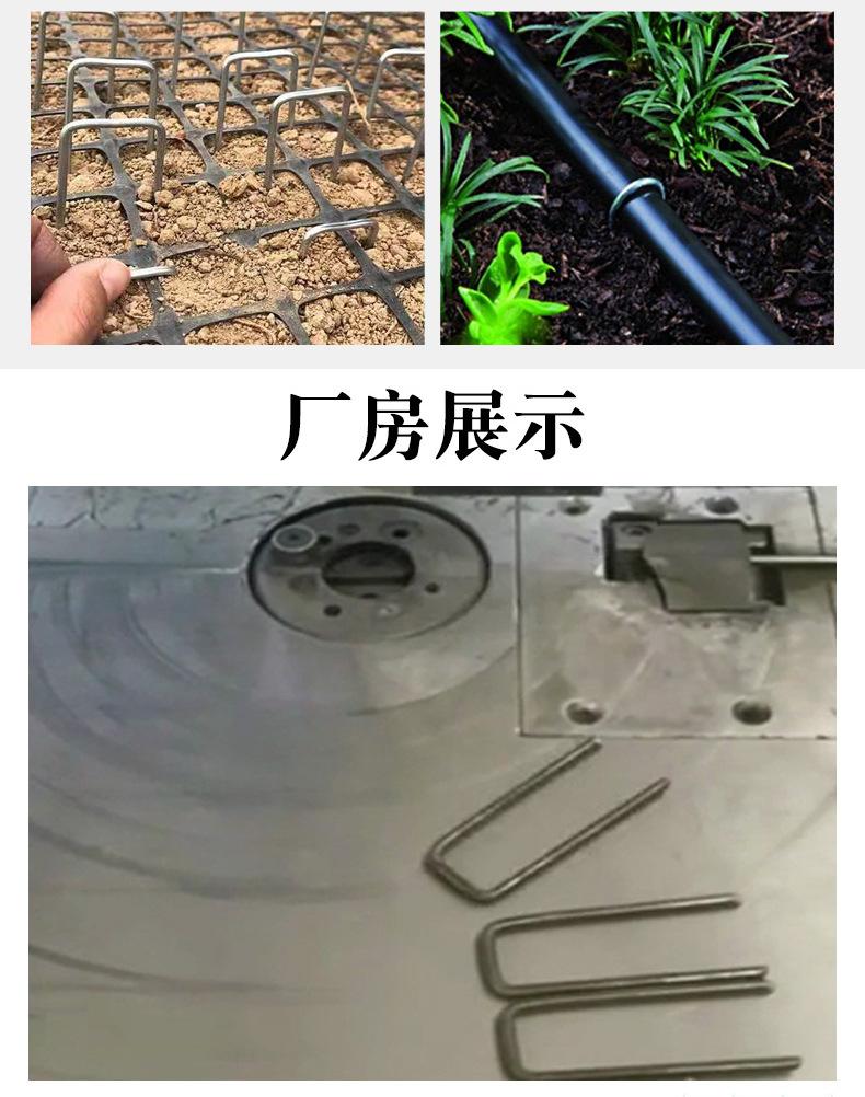 011.jpg