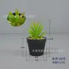 Combinação de Plantas Suculentas em Vaso Decoração de Casa Plantio Verde Janela de Flor Janela de Canto Mesa de Centro Conjunto de Mesa Arte com Flores Pequena Planta em Vaso
