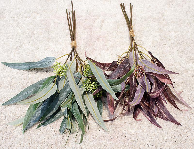 带果弯叶尤加利