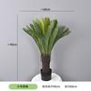 Planta Verde Simulada Pequena Planta em Vaso Suportes Orquídea Tigre Personalizada, Agave, Folha de Ninho de Pássaro, Folha de Dinheiro, Sisal de Cica