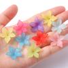 Explosiones Pétalos de Cinco Colores Nacarado Material Bauhinia Acetato Pétalos DIY Horquilla Antigua Hanfu Cuentas