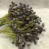 Algas Pinus de Fruta Coral Sul-Africana Simulada Coral Pequeno Plantio de Cabelo Paisagismo Decorativo Flor de Varanda para Arranjo com Frutas