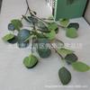 Simulación de hoja de manzana al por mayor, hoja de eucalipto europeo, hoja de dinero, flor artificial, decoración para bodas y hogar, planta de simulación.