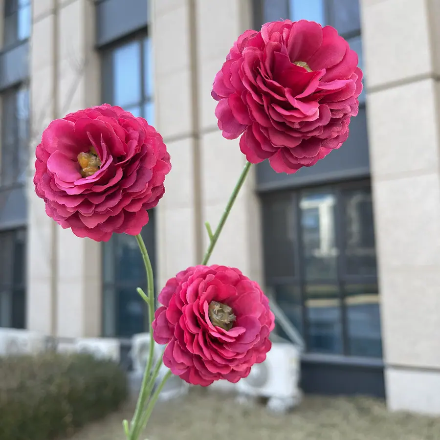 3头特慧丁香花-玫红.JPG