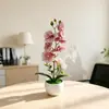 Maceta de onda nueva transfronteriza 7 orquídeas Phalaenopsis maceta de flores simulación decoración de fotografía de boda flores artificiales plantas pequeñas en maceta