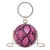 Nuevo Diseño de Nicho Personalizado Transfronterizo Bolso Esférico de Piel de Serpiente Moderno Color de Contraste Combinable Cadena de Mano Cruzado