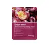 Exportación Transfronteriza Bioaoua Mascarilla Hidratante Antioxidante de Semilla de Uva Mascarilla Hidratante y Humectante para Piel Delicada