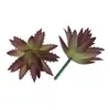 Mini Planta Suculenta Artificial Única Suculenta Falsa Flor Artificial Adorno de Micro Paisaje Oficina Planta Verde Real Artificial Alto