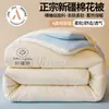Colcha de algodão de Xinjiang para outono e inverno, núcleo de colcha de algodão universal para todas as estações, espessada e quente para quarto, colcha de 5kg para primavera e outono