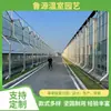 Projeto de Estufa com Painel Solar, Estufa Isolada do Norte, Cultivo de Vegetais e Flores, Construção com Estrutura de Aço, Estufa Luyuan
