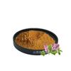 Polvo de Extracto de Clavo 10:1 Polvo Soluble en Agua Materia Prima Grado Alimenticio Extracto de Planta Medicinal y Comestible del Mismo Origen Stock Listo Envío Gratis