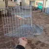 Gaiola para Galinha Poedeira Individual, Gaiola de Criação de Galinhas Poedeiras, Gaiola Grande de Três Camadas Tipo Escada para Galinhas Poedeiras de Fazenda