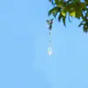 5D1pc Pintura de Piedras Diamante Captura Paisaje Patrón Colibrí Manualidades de Carrillón de Viento DIY Pintura Diamante Acrílica de Doble Cara