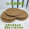 Nido para Palomas para Incubar Huevos, Nido de Hierba Antivuelco, Nido de Paloma, Suministros para Palomas Mensajeras, Base de Nido de Plástico, Almohadilla de Tela Marrón, Nido Yuanbao, Nido para Pollos