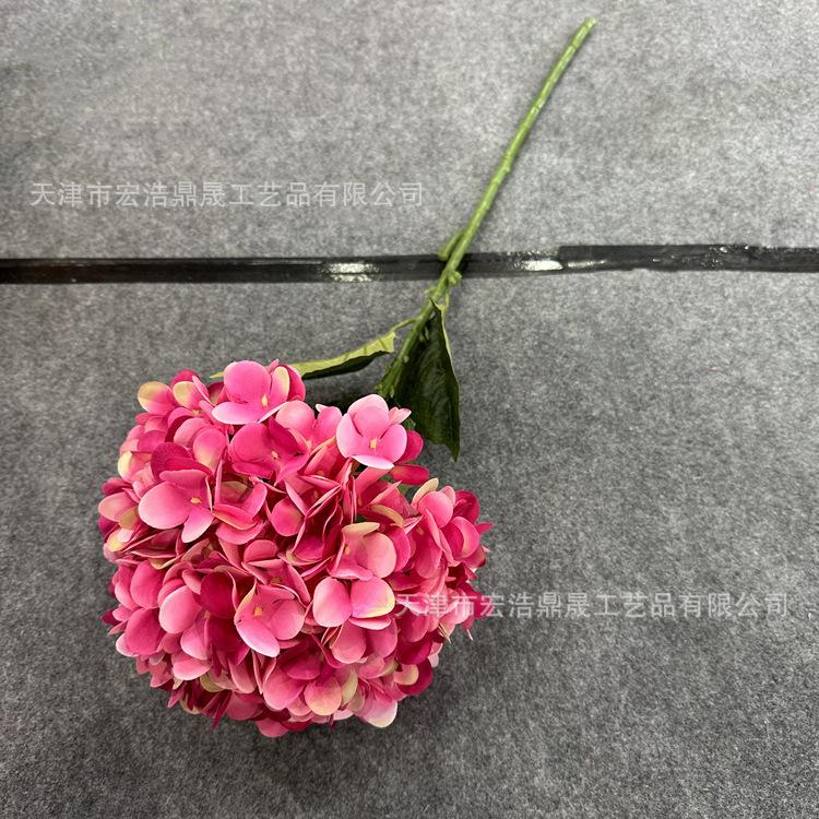 微信图片_202302211558132_副本
