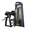 Entrenador de Bíceps de 45 Grados Gimnasio Equipo Comercial Entrenador de Fuerza de Bíceps Juego Completo de Equipo de Fitness