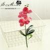 Productos de flores falsas Impresión 3D pequeña Phalaenopsis flor artificial planta artificial suministro directo de fábrica venta al por mayor decoración de interiores flor de seda