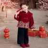 Conjunto Nuevo de Ropa de Año Nuevo Estilo Chino para Niñas, Acolchado y Engrosado de Invierno, Nuevo Modelo 2025, Traje Tang Infantil, Hanfu, Ropa de Año Nuevo