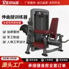 Set Completo de Equipo de Fitness Comercial para Entrenamiento de Músculos de la Espalda y Abdominales