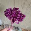 Flor de montanha pequena buquê de flores secas decoração luz luxo high-end diy material real flor air-dried importado espécime material de flor