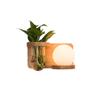 Lámpara de pared nórdica lámpara de noche para dormitorio decoración de pared de fondo para sala de estar balcón pasillo corredor lámpara de pared de madera maciza para niños con plantas