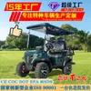 Carrinhos de Golfe Elétricos para Campos de Golfe, Veículos de Passeio para Áreas Turísticas, Shuttles de Hotéis, Tours Imobiliários, Veículos Elétricos de Quatro Rodas para Transporte de Passageiros