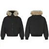 Chaqueta de Algodón con Cuello de Piel de Oso Mágico para Invierno, Diseño Irregular Acolchado, Chaqueta Acolchada Corta, Sencilla, Versátil, Abrigo de Algodón con Capucha