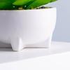 Macetas de Cerámica Personalizadas para Plantas Regalo Negro y Blanco Esmaltado Luz Escritorio de Oficina Plantación Verde