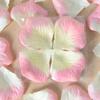 Pétalos de Rosa Artificiales para Decoración de Habitación de Propuesta de Boda, Suministros para Boda, Flores Falsas, 100 Piezas, Pila de Cuatro Capas