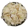 Orelha-de-pau branca do Nordeste, orelha-de-pau branca grande, orelha-de-pau branca pequena em formato de tigela, orelha-de-pau branca seca, limpa e sem raiz, 500g, frete grátis