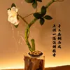 Hojas de Incienso Xiangyun sin Pegajosidad con Aroma a Osmanthus Aroma Floral Natural Varilla de Incienso Difusor de Aroma para Sala de Té Difusor de Aroma Portátil Hojas Difusoras de Aroma Directo del Fabricante