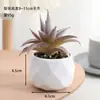 Venta al por mayor de plantas suculentas artificiales, lote mixto de plantas suculentas en maceta diamante, ventas directas de fábrica, decoraciones de plantas verdes para oficina