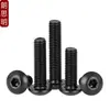 M2M2.5M3M4M5M6M8M10 Negro Acero Inoxidable 304 Cabeza Redonda Tornillos de Allen Negro Zinc Tornillos de Cabeza de Champiñón