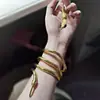 Pulseira de cobra enrolada colar estilo escuro colar design garota quente cobra feminina colar dourado masculino joias de halloween