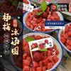 Bolas de Arroz Pegajoso Sabor Bayas Hielo Bandera de Palillo Decoración de Postre Palo de Bambú Polvo de Hielo Bola de Arroz Pegajoso Bandera de Snack Etiqueta de Palillo Bayas