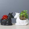 Suministro Amazon Simple Blanco Creativo Planta Suculenta Flor Dibujo Animado Animal Japonés Zakka Maceta de Cerámica