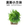 Musgo Paisajismo Plantas de Acuario Plantas Acuáticas Fácil Cuidado Plantas Reales Tanque de Escondite para Peces y Camarones Casa para Camarones Adornos Pequeños Casa de Escondite para Peces Pequeños