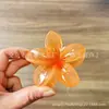 Presilha de Cabelo Gradiente Pérola Plumeria Transfronteiriça Europeia e Americana Presilha de Flor Presilha Lateral Presilha para Meio Preso Parte de Trás da Cabeça Presilha de Tubarão