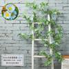 Enredaderas de Flores Artificiales, Plantas Verdes de Plástico para Decoración de Techo, Envoltura de Tuberías de Aire Acondicionado y Drenaje para Sala de Estar, Hecho a Medida