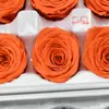 Flor mágica, flor eterna, grado B, 3-4 rosas, 10 flores secas, unicornio, regalo de San Valentín, caja, bolsa.