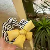 Moda de Corea del Sur Crema Amarillento Lazo Tres Dimensiones Algodón Lazo Anillo Elegante Todo Combinación Diadema para Dormir Accesorios para el Cabello