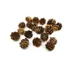 Decorações de Natal mini flor de pinho 1-3cm lariço ornamentos criativos flor seca DIY material decorativo pinha