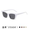 Moda Europea y Americana Nuevos Lentes de Sol Ojo de Gato, Fotografía Callejera Personalizada, Pasarela, Lentes de Sol de Celebridad de Internet, Lentes de Sol de Moda Transfronterizos