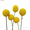 Ramo de flores secas con bola dorada fábrica de Yunnan al por mayor Amazon suministro transfronterizo ramo de flores secas con bola dorada