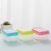 Caixa de armazenamento plástica quadrada mini estilo japonês, caixa selada para refrigerador, caixa de amostra de alimentos, 250ml, sem tampa