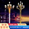 China Luz Magnólia Luz Quadrada Estrada Pátio Solar Luz Paisagística Poste de Rua 6 m 8 m Luz Externa 10 m 12 m