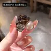 Celebridad de Internet Lujo Ligero Perla Pinza Pequeña para Agarrar Clip Delantero Lateral de Moda de Lujo Ligero para Mujer 2025 Nuevo Clip para Flequillo Combinable para Peinado