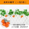 Cipó de Frutas Flores Artificiais Cipó de Folhas de Uva Decoração de Teto Cipó de Flores Plástico Folhas Verdes Folhas de Árvore para Envolver ao Redor de Hotel